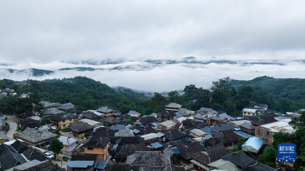 免费彩金百富论坛